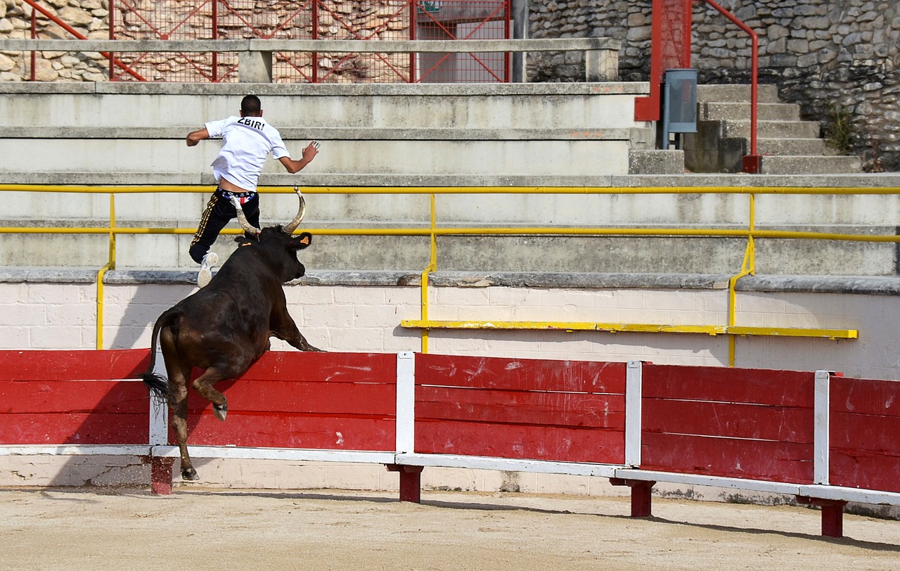 賽季初秋階