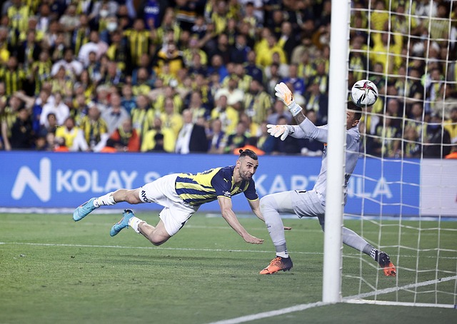 新帅的非凡 新帅的非凡