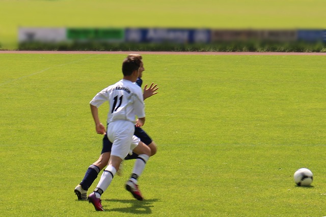 詹姆斯的坚 詹姆斯的坚