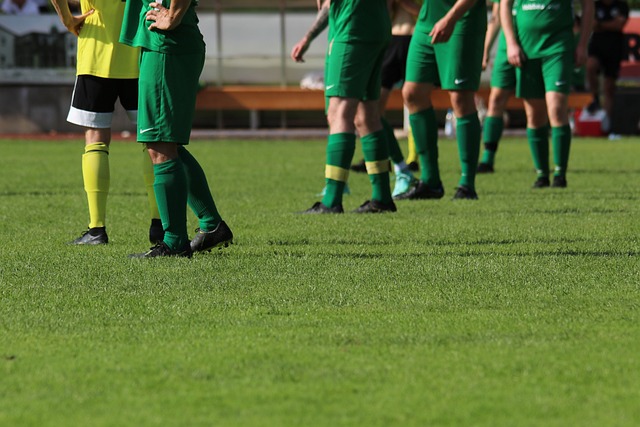 的价值和能 的价值和能