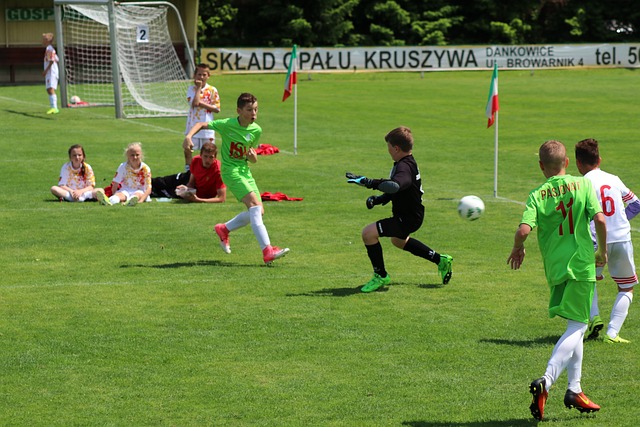 阵容合理性 阵容合理性