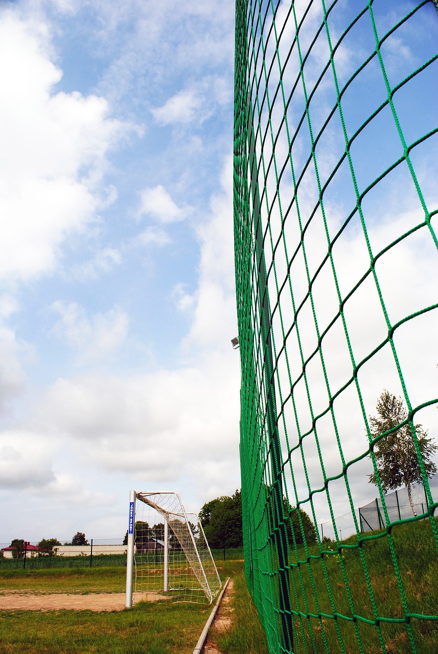 提升的反映 提升的反映