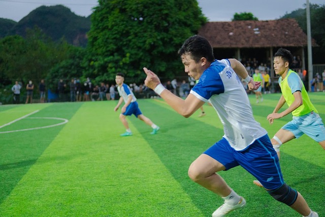 员们的职业 员们的职业