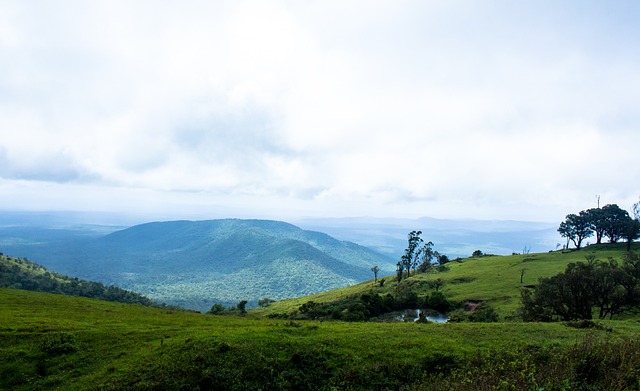 此次出局不 此次出局不