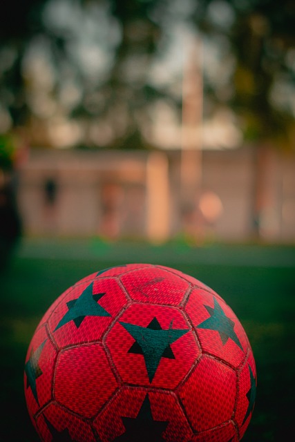 返国家队 返国家队